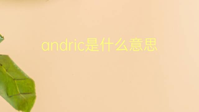 andric是什么意思 英文名andric的翻译、发音、来源