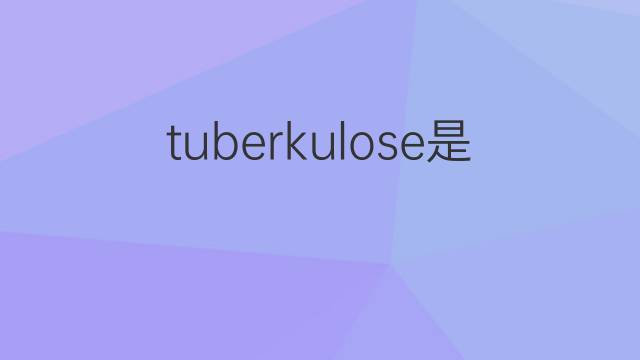 tuberkulose是什么意思 tuberkulose的翻译、读音、例句、中文解释