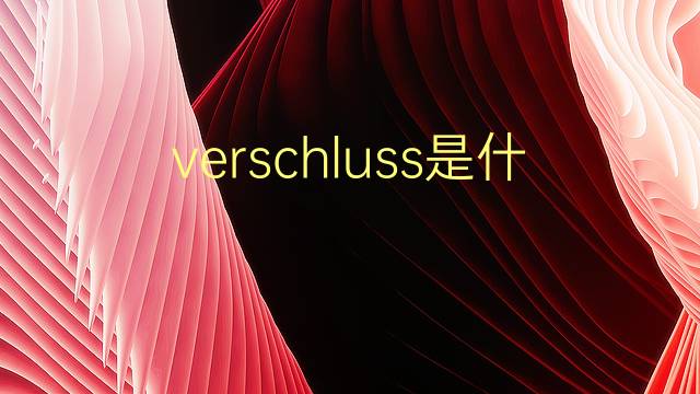 verschluss是什么意思 verschluss的翻译、读音、例句、中文解释