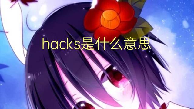 hacks是什么意思 hacks的翻译、读音、例句、中文解释