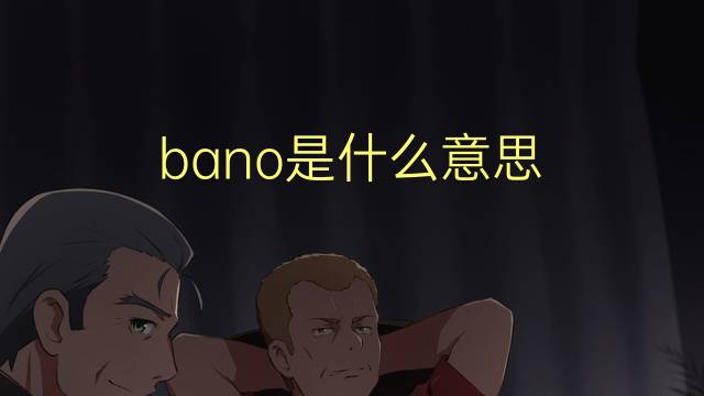 bano是什么意思 bano的翻译、读音、例句、中文解释