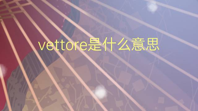 vettore是什么意思 vettore的翻译、读音、例句、中文解释