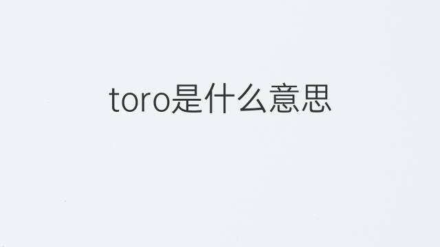 toro是什么意思 toro的翻译、读音、例句、中文解释