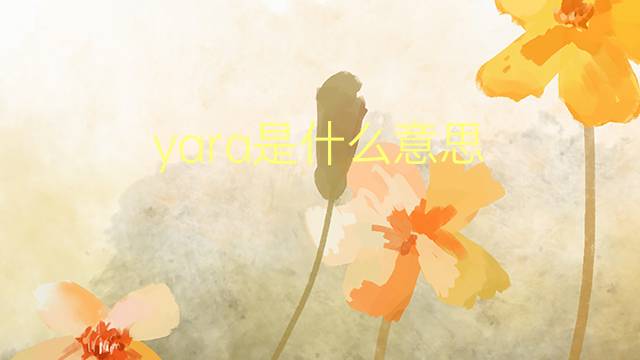 yara是什么意思 yara的翻译、读音、例句、中文解释