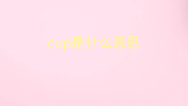 cup是什么意思 cup的翻译、读音、例句、中文解释