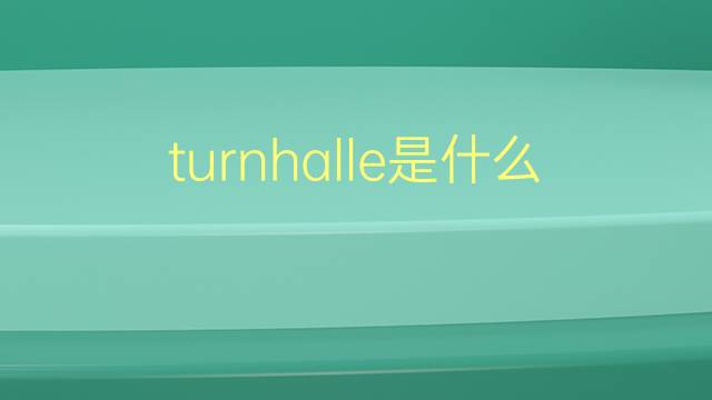 turnhalle是什么意思 turnhalle的翻译、读音、例句、中文解释