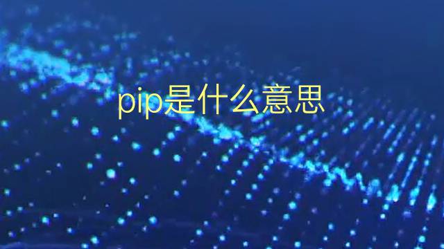 pip是什么意思 pip的翻译、读音、例句、中文解释