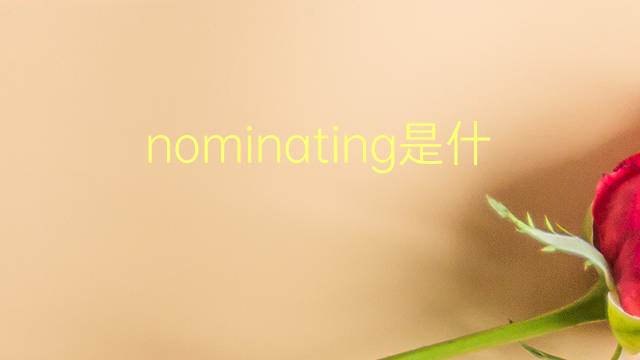 nominating是什么意思 nominating的翻译、读音、例句、中文解释