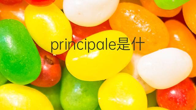 principale是什么意思 principale的翻译、读音、例句、中文解释