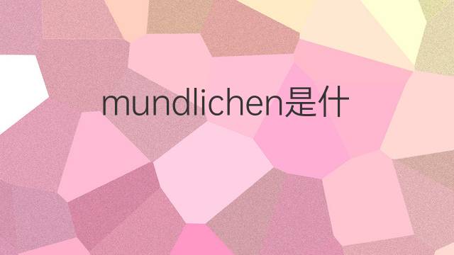 mundlichen是什么意思 mundlichen的翻译、读音、例句、中文解释