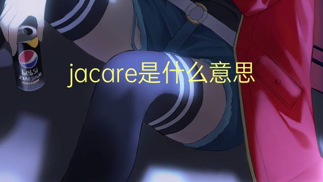 jacare是什么意思 jacare的翻译、读音、例句、中文解释