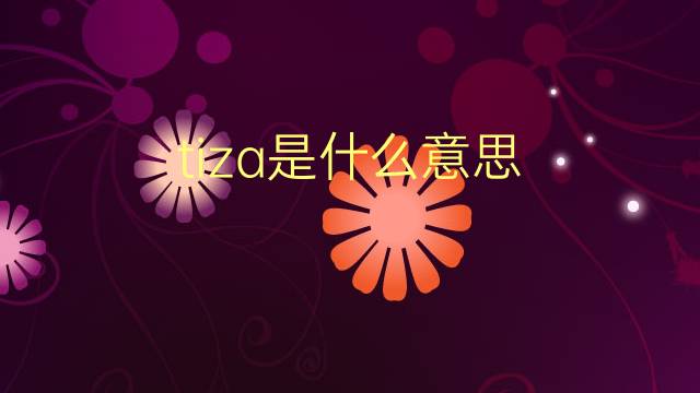 tiza是什么意思 tiza的翻译、读音、例句、中文解释