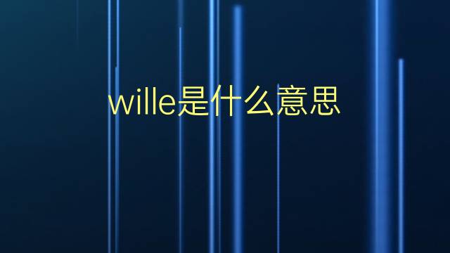 wille是什么意思 wille的翻译、读音、例句、中文解释