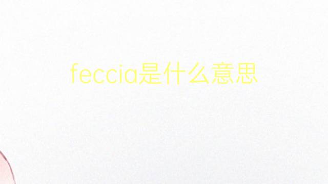 feccia是什么意思 feccia的翻译、读音、例句、中文解释