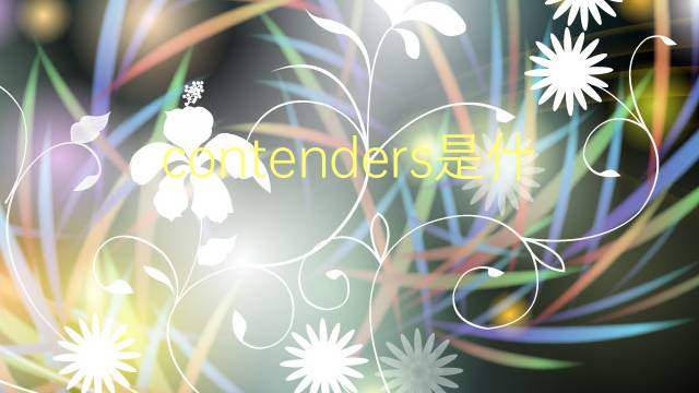 contenders是什么意思 contenders的翻译、读音、例句、中文解释