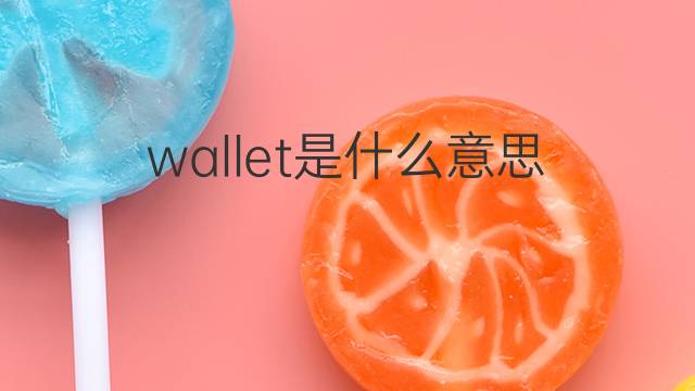 wallet是什么意思 wallet的翻译、读音、例句、中文解释