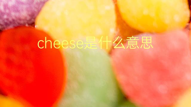 cheese是什么意思 cheese的翻译、读音、例句、中文解释