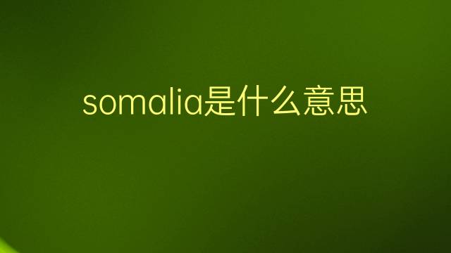 somalia是什么意思 somalia的翻译、读音、例句、中文解释