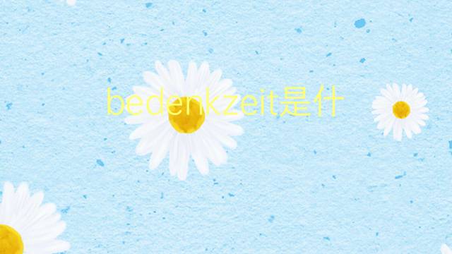 bedenkzeit是什么意思 bedenkzeit的翻译、读音、例句、中文解释