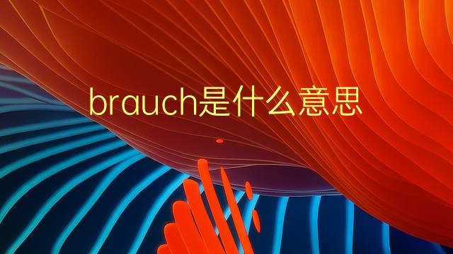 brauch是什么意思 brauch的翻译、读音、例句、中文解释