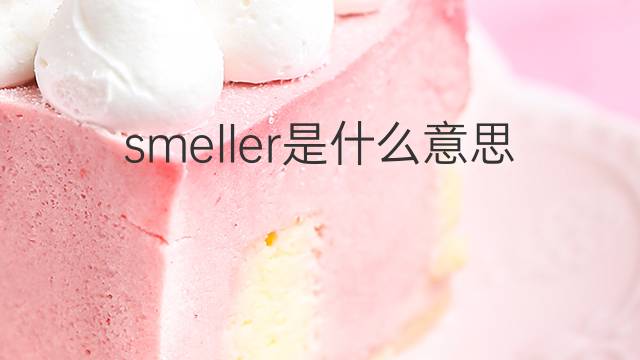 smeller是什么意思 smeller的翻译、读音、例句、中文解释