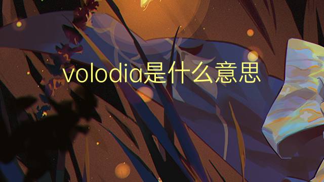 volodia是什么意思 英文名volodia的翻译、发音、来源