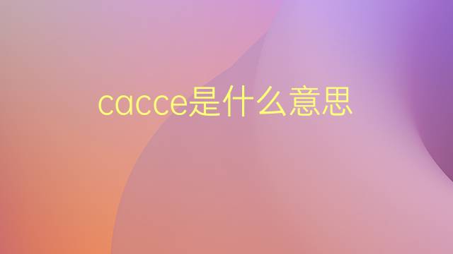 cacce是什么意思 cacce的翻译、读音、例句、中文解释