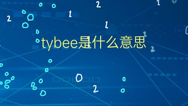 tybee是什么意思 tybee的翻译、读音、例句、中文解释