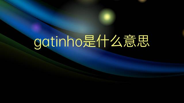 gatinho是什么意思 gatinho的翻译、读音、例句、中文解释