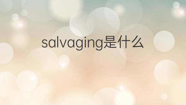 salvaging是什么意思 salvaging的翻译、读音、例句、中文解释