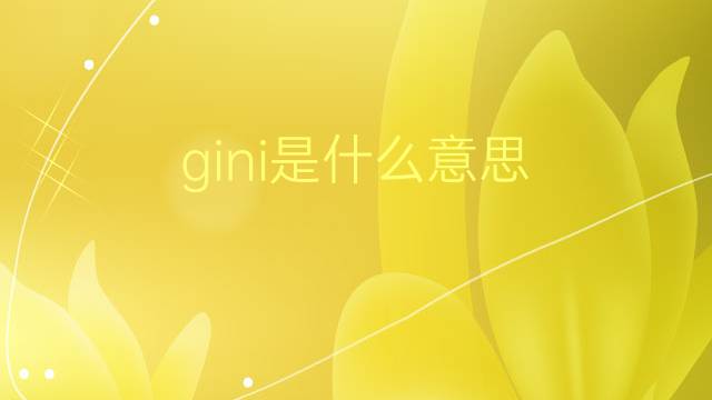 gini是什么意思 gini的翻译、读音、例句、中文解释