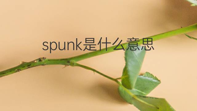 spunk是什么意思 spunk的翻译、读音、例句、中文解释