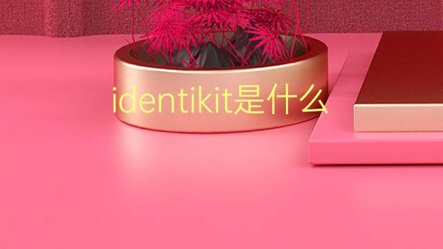 identikit是什么意思 identikit的翻译、读音、例句、中文解释