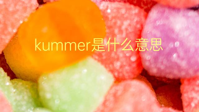 kummer是什么意思 kummer的翻译、读音、例句、中文解释