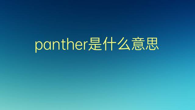 panther是什么意思 panther的翻译、读音、例句、中文解释