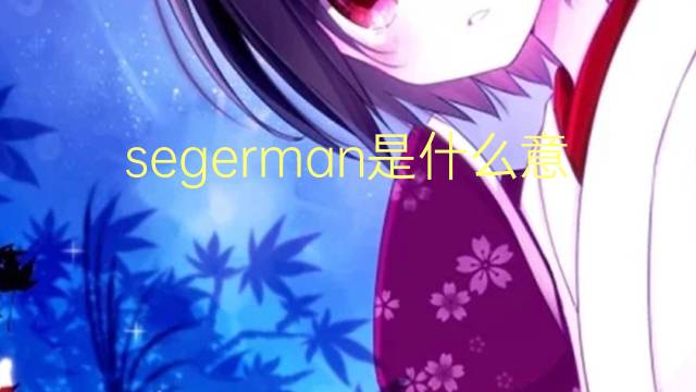 segerman是什么意思 segerman的翻译、读音、例句、中文解释