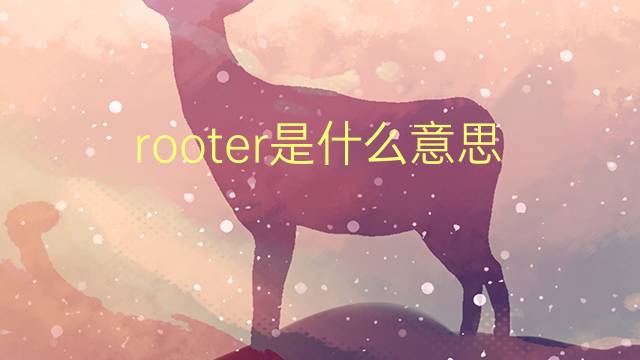 rooter是什么意思 rooter的翻译、读音、例句、中文解释