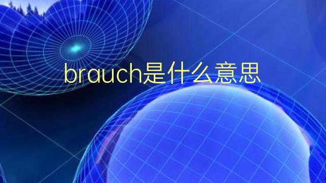 brauch是什么意思 brauch的翻译、读音、例句、中文解释