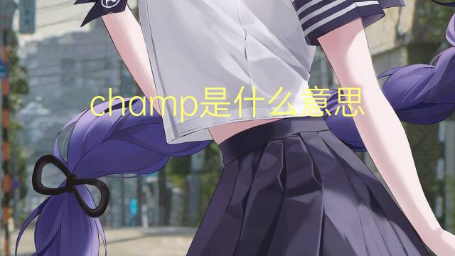 champ是什么意思 champ的翻译、读音、例句、中文解释