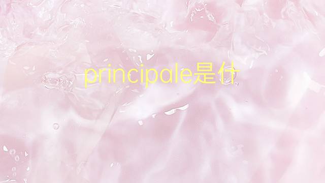 principale是什么意思 principale的翻译、读音、例句、中文解释