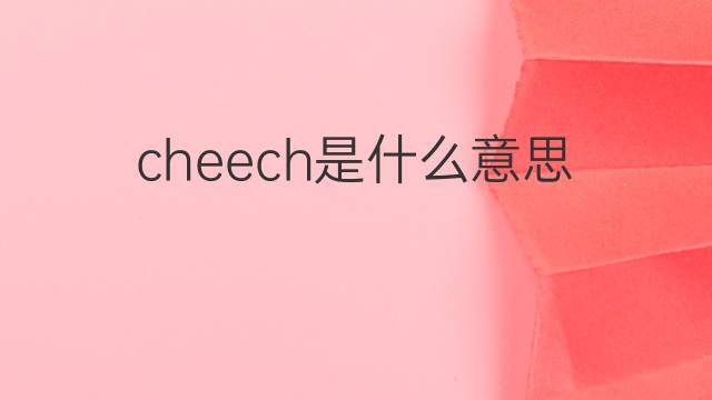 cheech是什么意思 cheech的翻译、读音、例句、中文解释