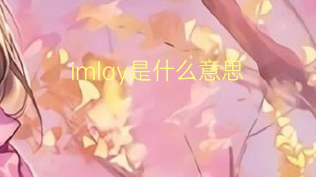 imlay是什么意思 imlay的翻译、读音、例句、中文解释