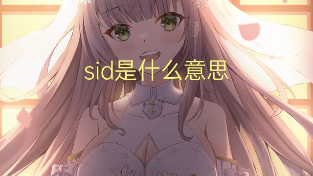 sid是什么意思 sid的翻译、读音、例句、中文解释