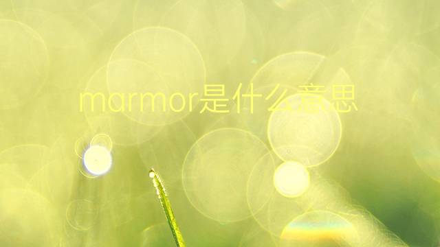 marmor是什么意思 marmor的翻译、读音、例句、中文解释