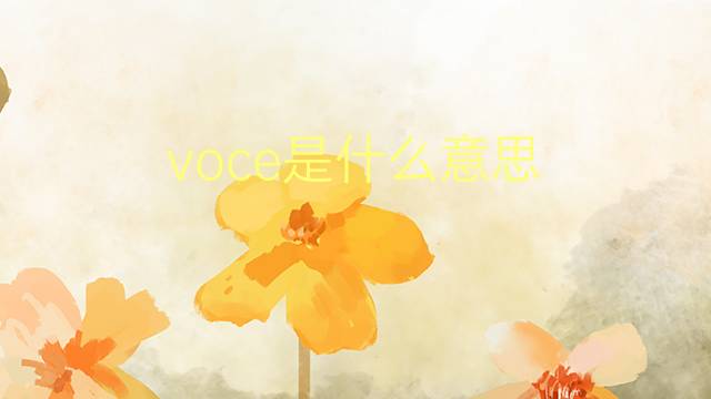 voce是什么意思 voce的翻译、读音、例句、中文解释