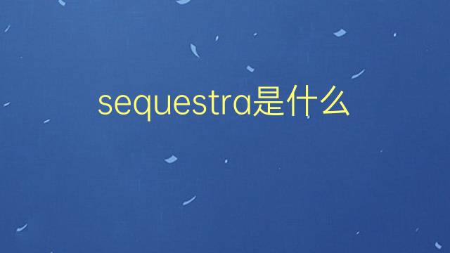 sequestra是什么意思 sequestra的翻译、读音、例句、中文解释