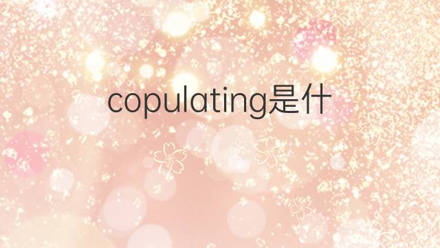 copulating是什么意思 copulating的翻译、读音、例句、中文解释