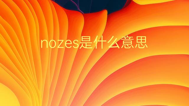 nozes是什么意思 nozes的翻译、读音、例句、中文解释