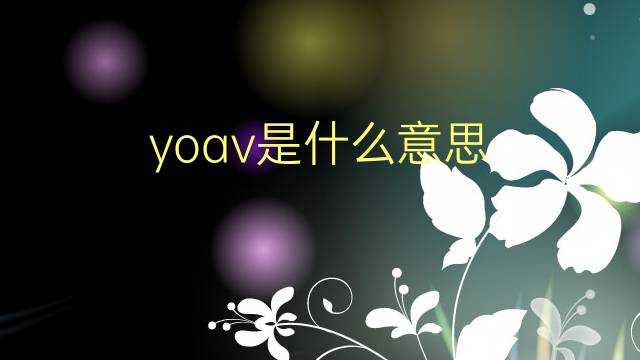 yoav是什么意思 英文名yoav的翻译、发音、来源