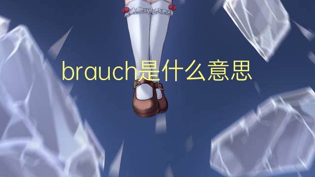 brauch是什么意思 brauch的翻译、读音、例句、中文解释